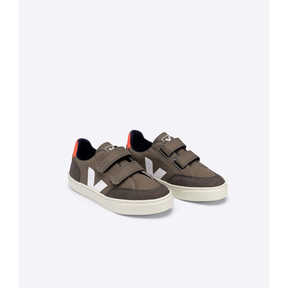 Coffee Kids' Veja V-12 CANVAS Sneakers | AU 876XYU